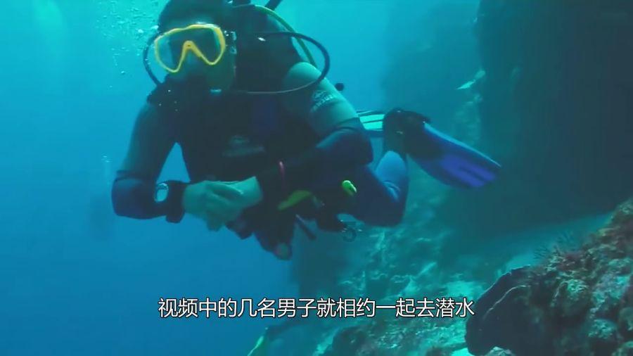 公主鞋蛋糕